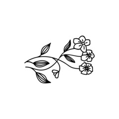 Hand drawn flowers. Vector illustration in doodles style. Isolate on a white background.