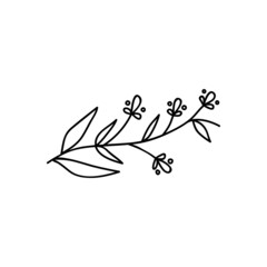 Single hand drawn twig with flower. Vector illustration in doodle style. Isolate on a white background.