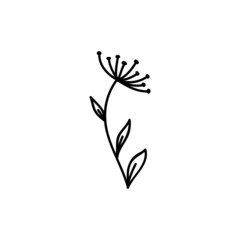 Naklejka premium Single hand drawn twig. Vector illustration in doodle style. Isolate on a white background.