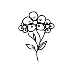 Single hand drawn flower. Vector illustration in doodles style. Isolate on a white background.