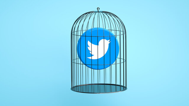  Twitter Bird In A Bird Cage