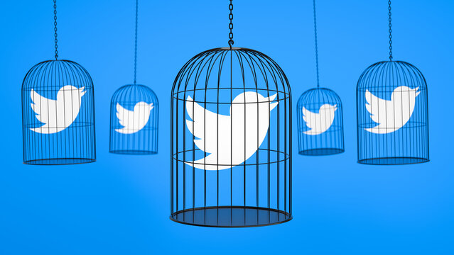  Twitter Bird In A Bird Cage