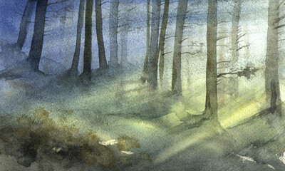 Obraz premium watercolor landscape with mist and trees trunks, cobweb morning, fog in a forest, hand-drawn illustration, nature background 