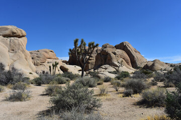 Fototapeta na wymiar Barren Landscape in the Mojave Desert in California