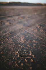 traces of car wheels in the sand