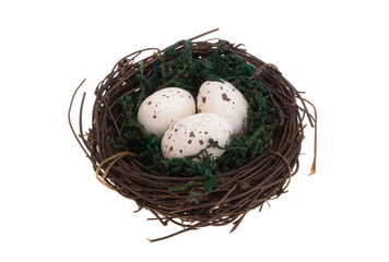 Naklejka na ściany i meble bird's nest with eggs