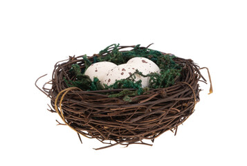 Obraz premium bird's nest with eggs