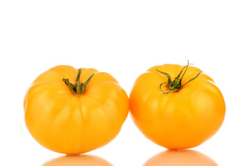 Fototapeta na wymiar Two juicy organic, yellow tomatoes, close-up, isolated on a white background.