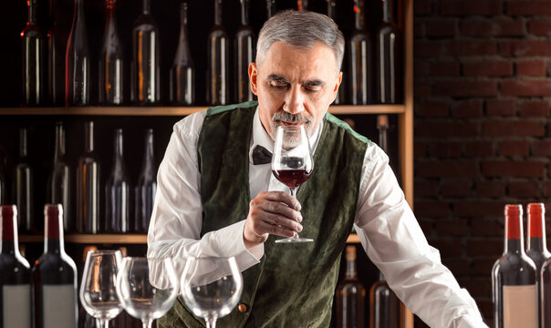 Sommelier with a glass of wine. Examination of wine products. Restaurant staff, expert wine steward among shelves of wine bottles. Stylish middle-aged man with a grey beard
