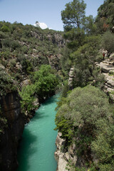 mountain river in the mountains