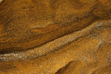 golden sand dunes on the beach