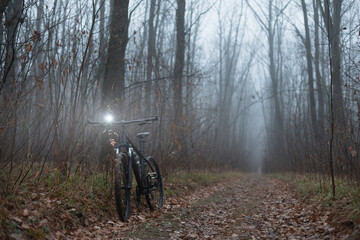 Fototapeta na wymiar Autumn. Fog in the forest. Bicycle travel.