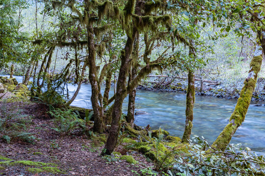 Rock Creek - Long exposure