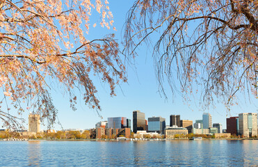 Boston Charles River Esplanade on a sunny spring day with cherry blossom. The Charles River Esplanade is a public park situated in the Back Bay area of the city, on the south bank of the Charles River