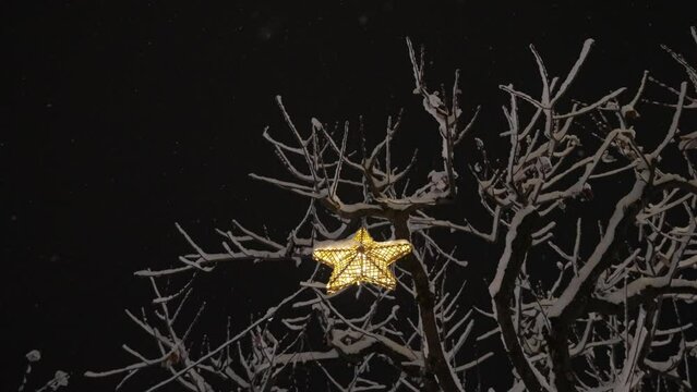 Christmas Star Hanging From Snow Covered Tree At Night