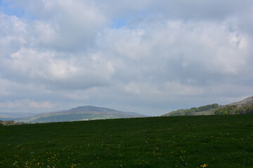 Fototapeta premium Beautiful View of a Rural Field in the Spring