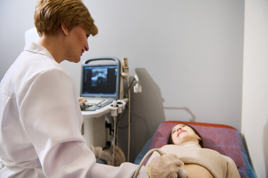 Confident Female Gynecologist Examines A Pregnant Woman At An Early Stage Of Pregnancy On A Modern Ultrasound Machine