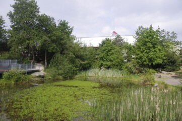 L'&eacute;tang du Blosne