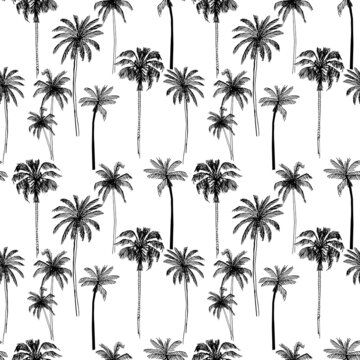 Seamless pattern with palm trees sketches