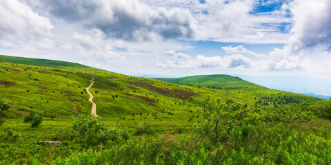 Fototapeta na wymiar ukrainian carpathians mountain landscape in summer. dirt road and hiking trail track. panoramic view of a hilly countryside. vacation and active lifestyle concept