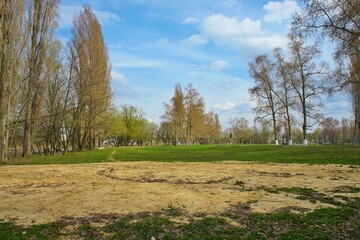 landscape with trees