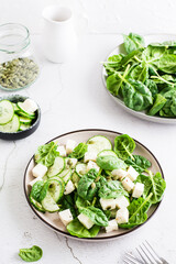 Fresh salad of cucumbers, spinach, cheese and pumpkin seeds in a plate. Vertical view. Close-up