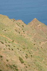 Fototapeta na wymiar Hillside next to the sea. Agulo. La Gomera. Canary Islands. Spain.