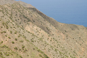 Hillside next to the sea. Agulo. La Gomera. Canary Islands. Spain.