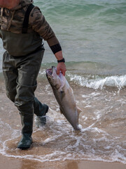 Pescatore con in mano una preda, ovvero un pesce serra.