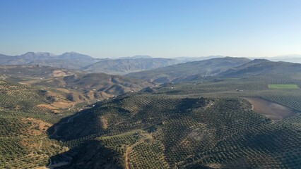 survol des champs d'oliviers (oliveraies), hacienda et village blanc en Andalousie dans le sud de l'Espagne