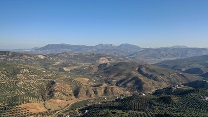 Naklejka premium survol des champs d'oliviers (oliveraies), hacienda et village blanc en Andalousie dans le sud de l'Espagne