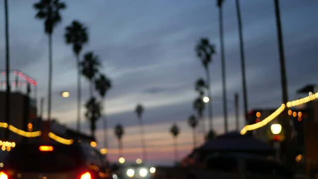 Defocused palm trees in Ocean Beach, lights in twilight. Row of palmtrees and cars on evening road in dusk. Illuminated garlands glowing on waterfront city street, California coast, San Diego, USA.