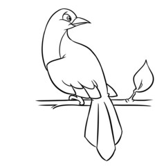 Bird sitting on a branch coloring page cartoon illustration