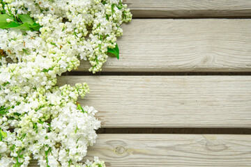 White lilac bowl on a wooden backdrop