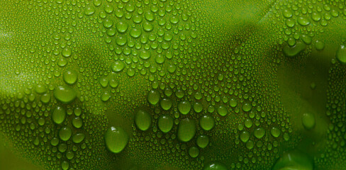 Macro background with water droplets condensation pattern on plastic surface 