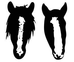 Vector illustration set ready to print: Horse Facial Markings, black and white head spots, stars, snipe, stripe, bald face marking collection