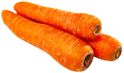 Three fresh orange carrots isolated over white background.