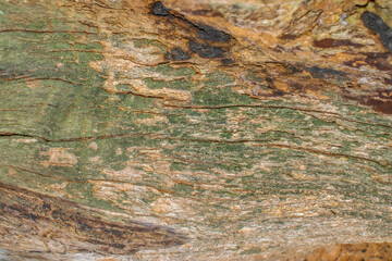 wooden texture background