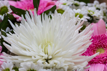 Detail of the Bouquet colorful Flowers 