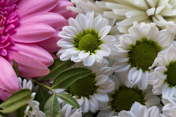 Detail of the Bouquet colorful Flowers 