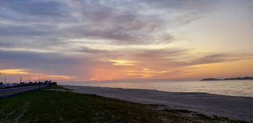 sun sunset beach monkey landscape cloud sand insect