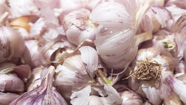 Pile of garlic lies on supermarket or vegetable store shelves. Close-up