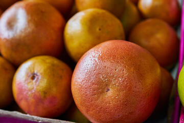 Grapefruits put on a shelf for sale within a market