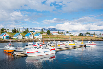 Summer day in village of Hrisey in Iceland