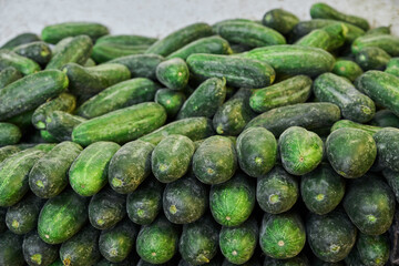 Baby cucumbers placed on a shelf for sale within a market