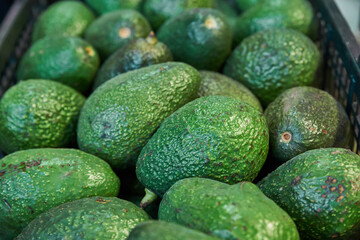 Avocados placed on a shelf for sale within a market