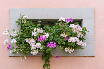 Kellerfenster mit Blumendekoration