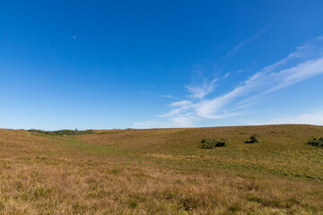 Fototapeta premium Farm field with blue sky and moon