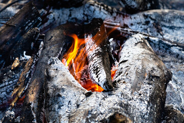 Burning log on campfire