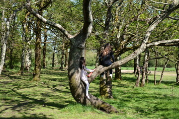 Obraz premium Bouaye - Lac de Grand-Lieu - Jeu du chat perché
